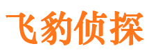 沁县市调查公司